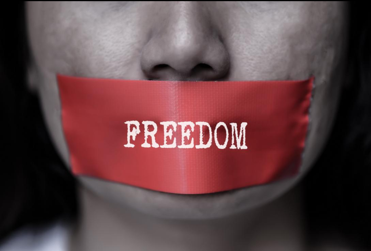 Silencing the Witnesses: How the Global War on Journalism is Killing Democracy